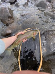 fly_fishing_trout_streams_Aug'23