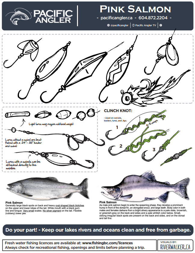 Pink Gear diagram - Pacific Angler