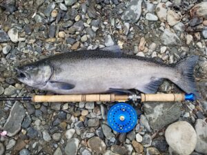River_fishing_Chinook_C/V_Aug'23