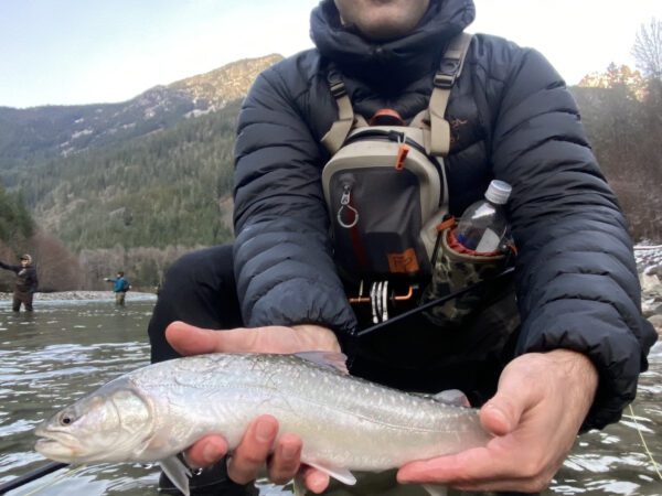 River_fishing_Squamish_bulltrout_bead_Nov'23