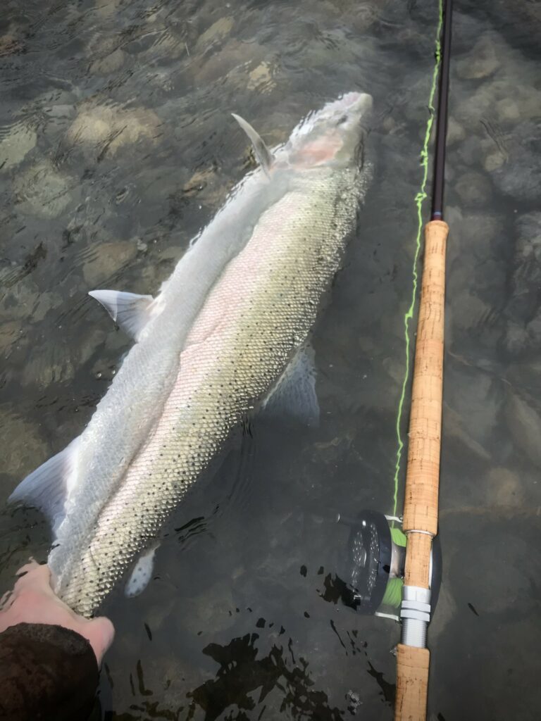 River_fishing_Squamish_Steelhead