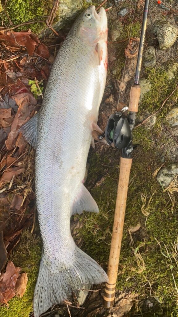 River_fishing_Vedder_Steelhead_Feb'24